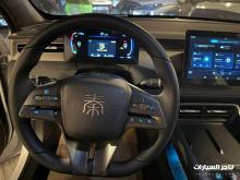 BYD SHEN BLAS